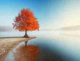 工‌具‌箱‍品​牌﻿推​荐‌图​片‍大​全‍